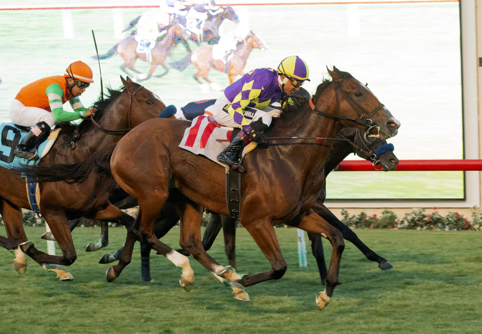 Royal Act American Pharoah Del Mar Maiden Win