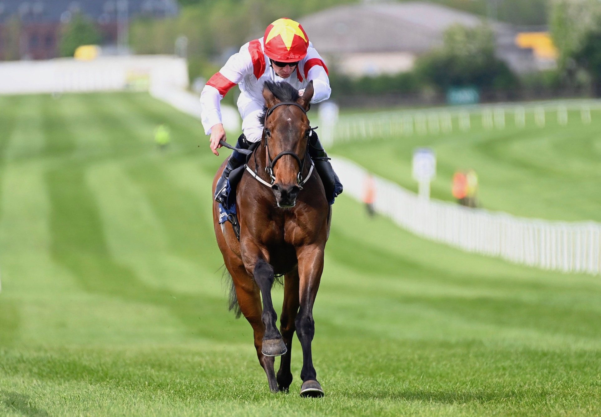 Ruler Legend (Camelot) Wins The Rated Race At Naas