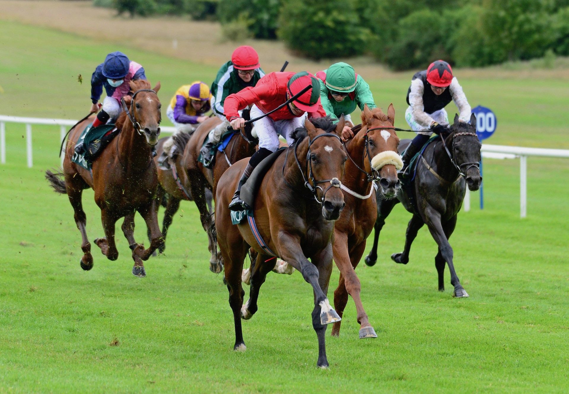 Hy Brasil (Fastnet Rock) Wins On Debut At Navan