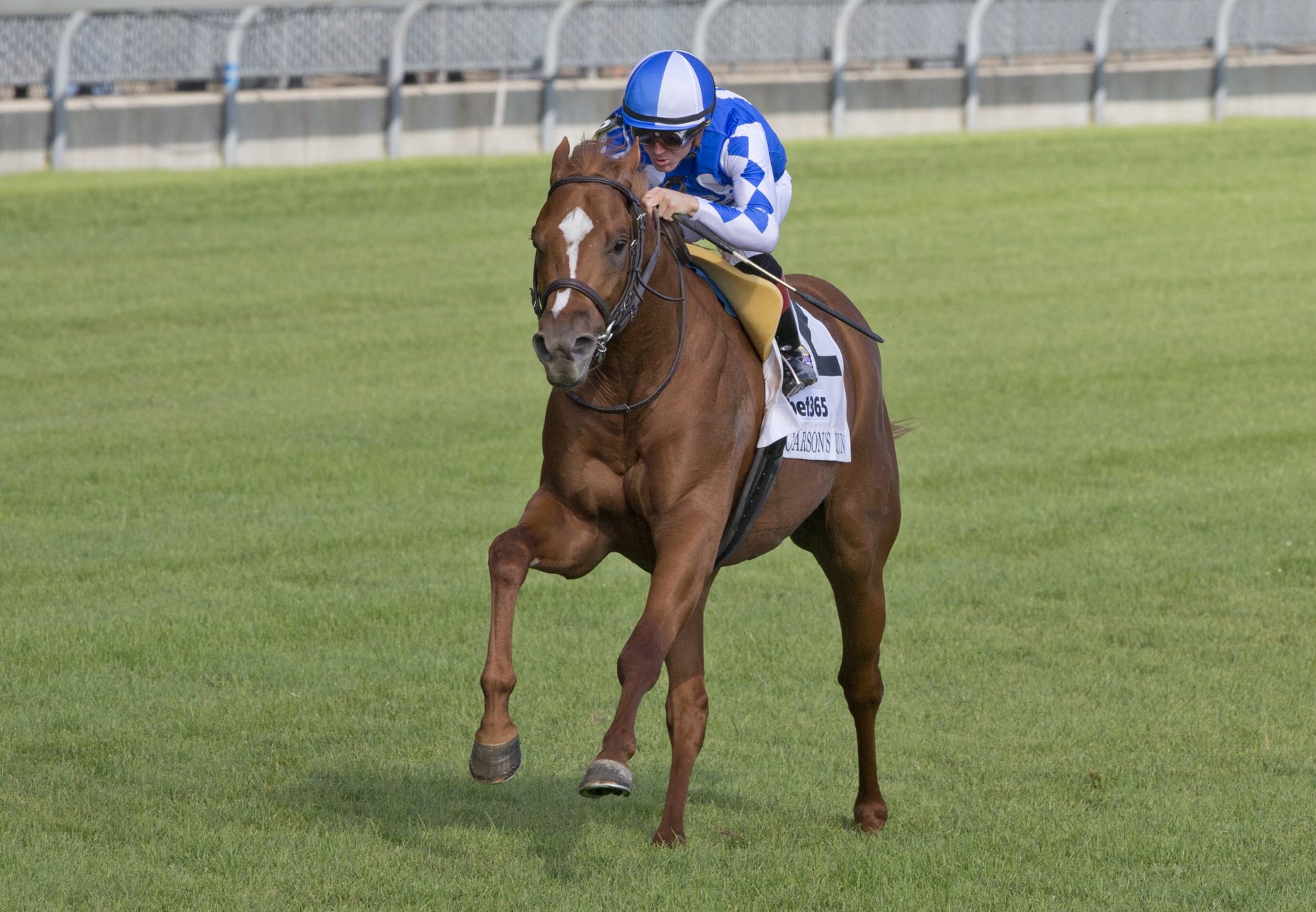 Carson's Run (Cupid) Wins the Gr.1 Summer Stakes at Woodbine