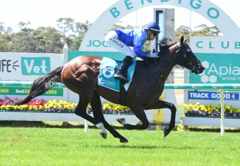 Bogues(Justify) winning at Bendigo