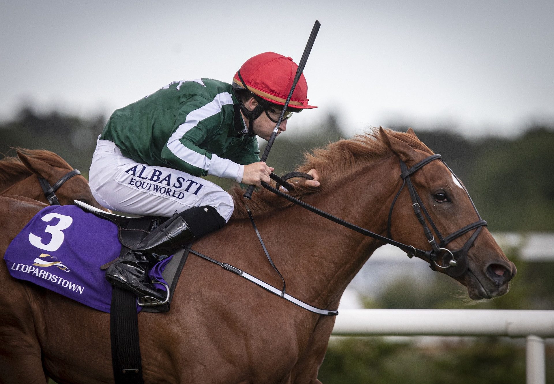 Cayenne Pepper Becomes The Latest Winner By Australia