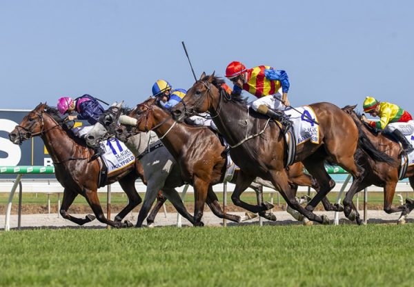 Eleven Eleven (Fastnet Rock) wins the $1 million Magic Millions Cup