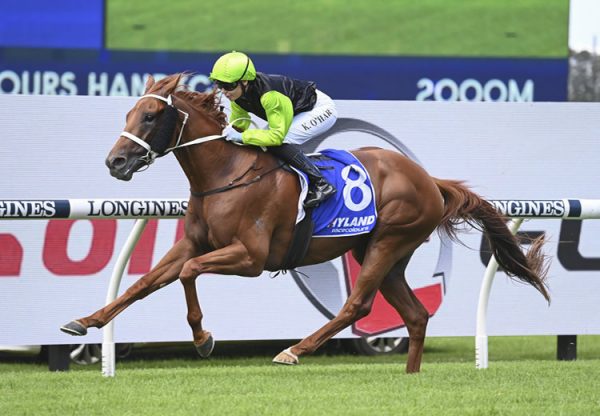 Sword Point (American Pharoah) winning at Rosehill