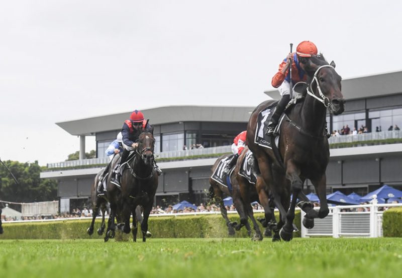 Think It Over (So You Think) winning the Gr.2 Apollo Stakes at Randwick