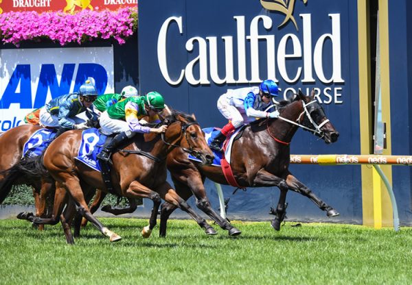 Coastwatch (Fastnet Rock) winning the Gr.2 Autumn Stakes at Caulfield