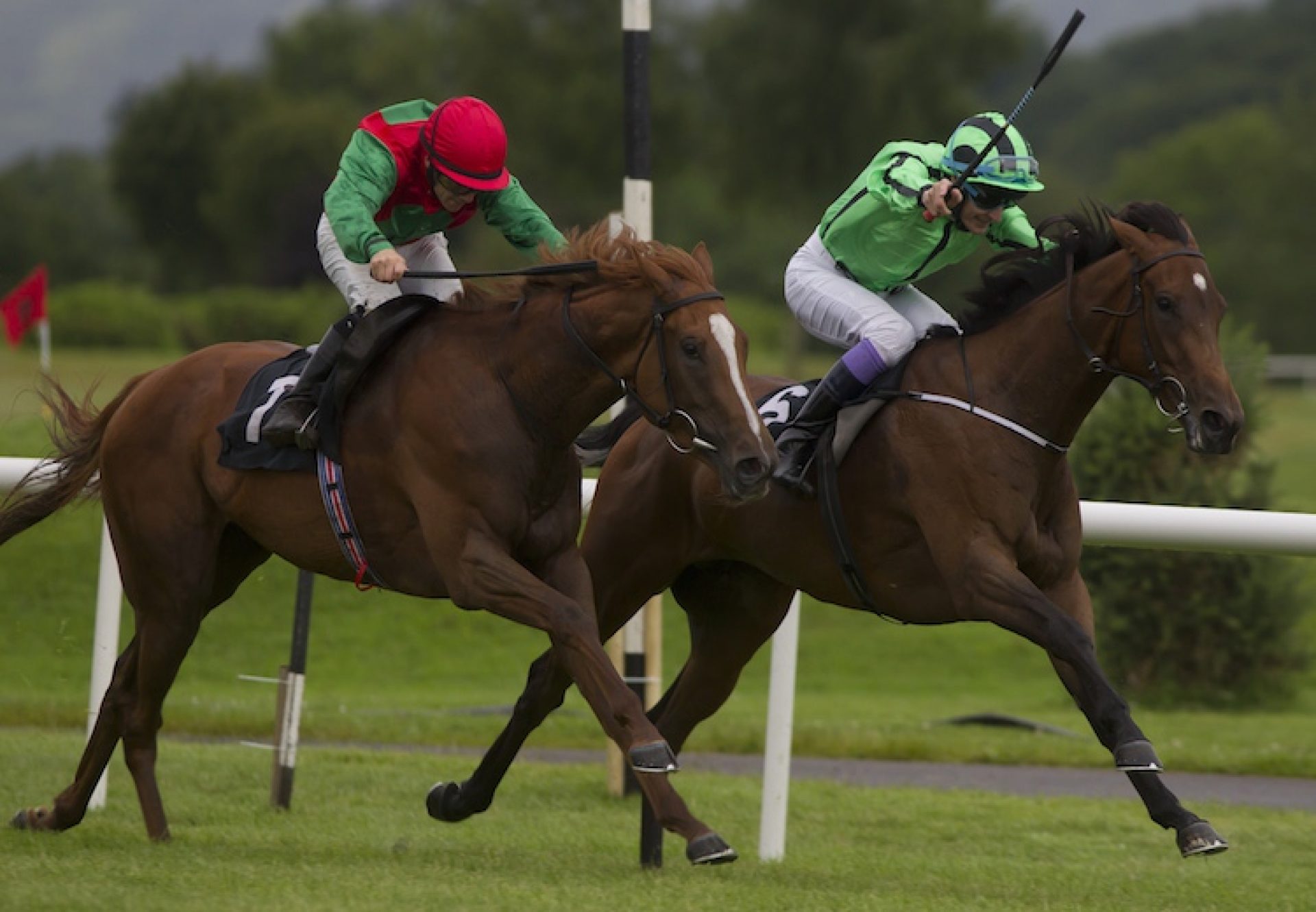 Off Limits (Mastercraftsman) winning the Listed Cairn Rouge Stakes at Killarney