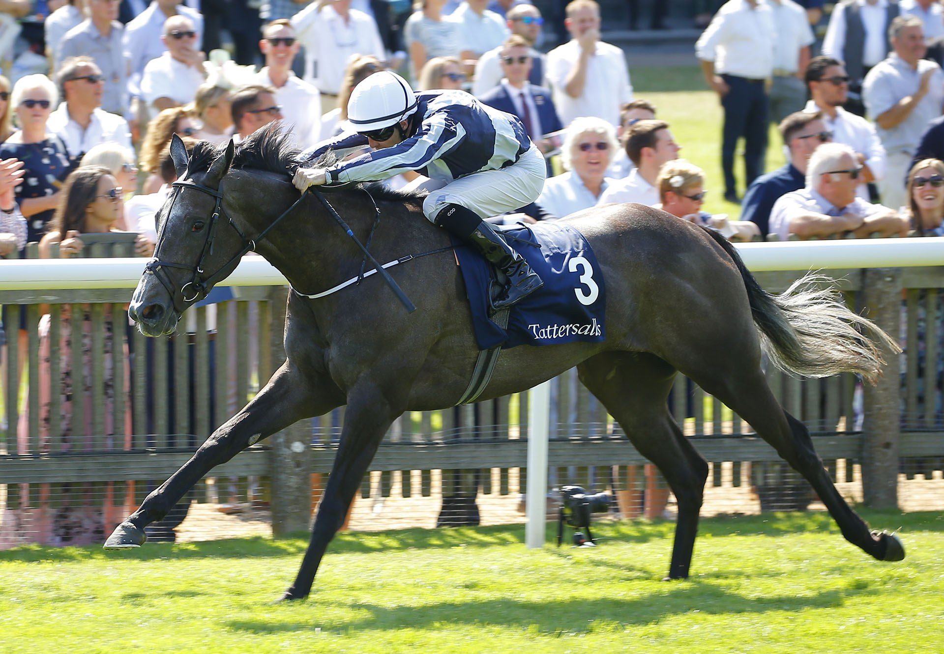 Alpha Centauri (Mastercraftsman) winning the G1 Falmouth Stakes at Newmarket