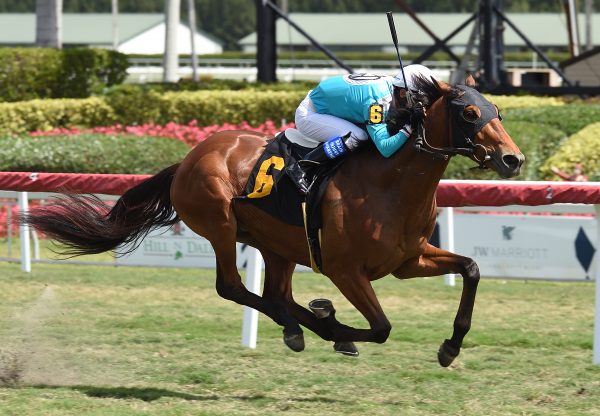 Juulstone (American Pharoah) wins maiden at Gulfstream Park