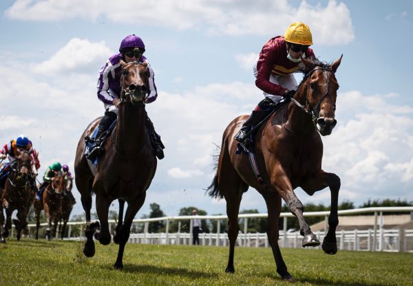 State Of Rest (Starspangledbanner) Wins On Debut At Fairyhouse