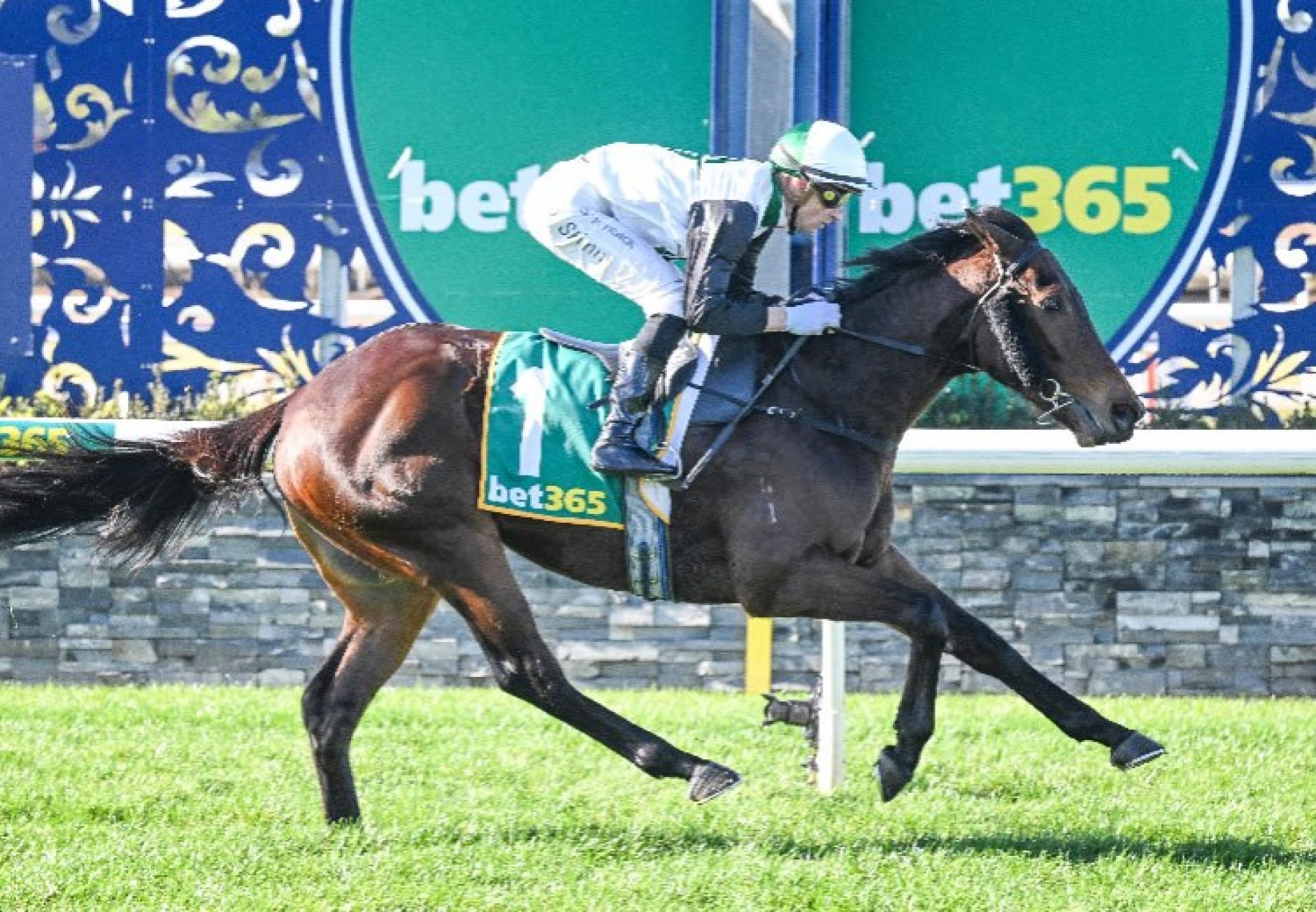 Dom (Pierro) wins at Geelong