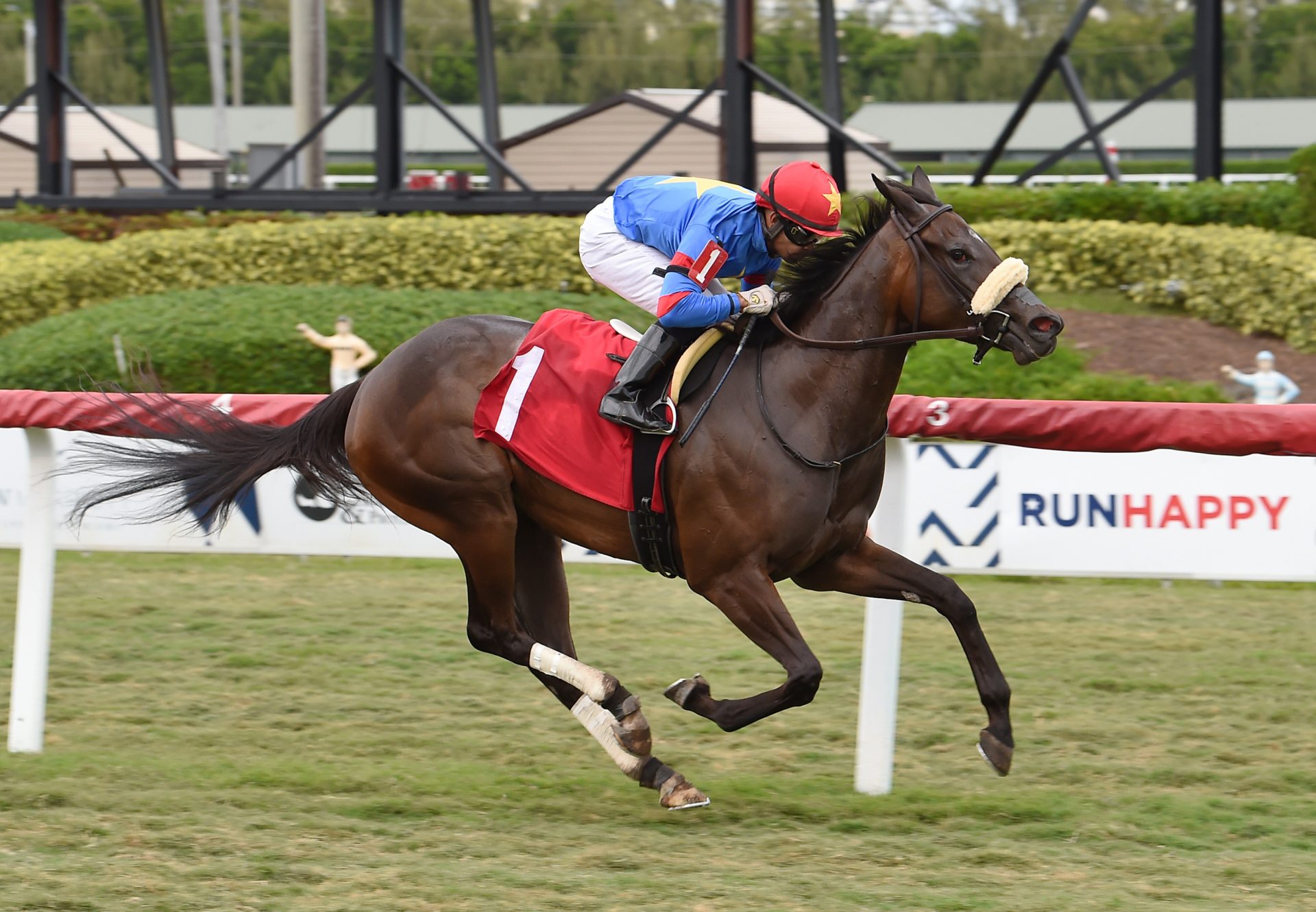 Gotta Go Mo (Uncle Mo) wins Gulfstream Park maiden