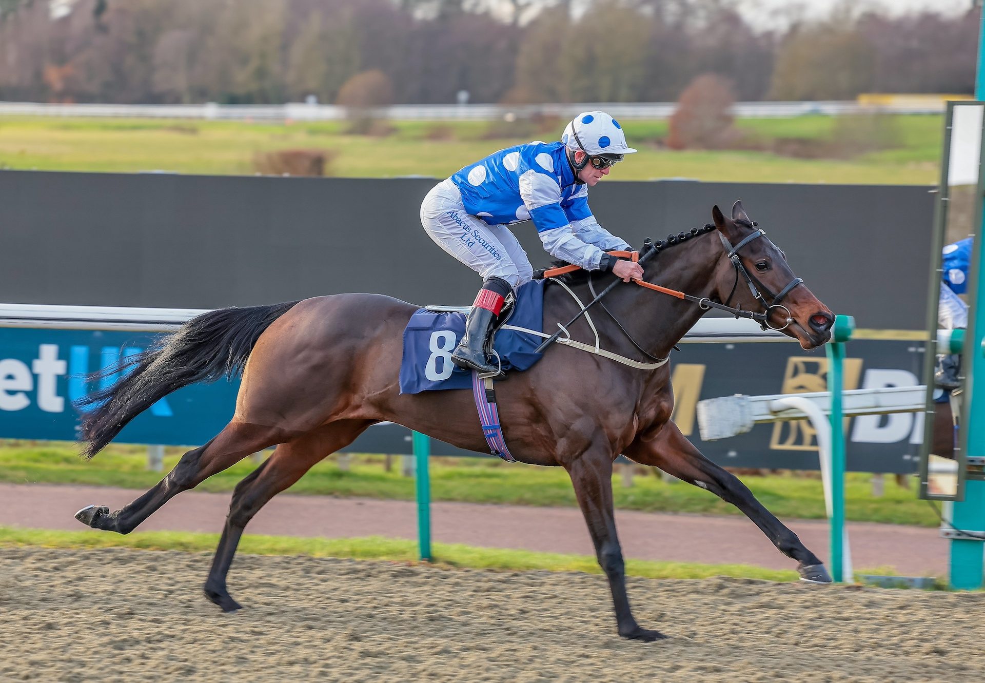 Zandita (Calyx) Wins On Debut at Lingfield