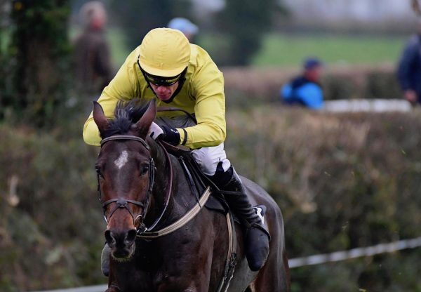 Powerful Position (Mahler) Wins The 5YO Maiden At Lisronagh