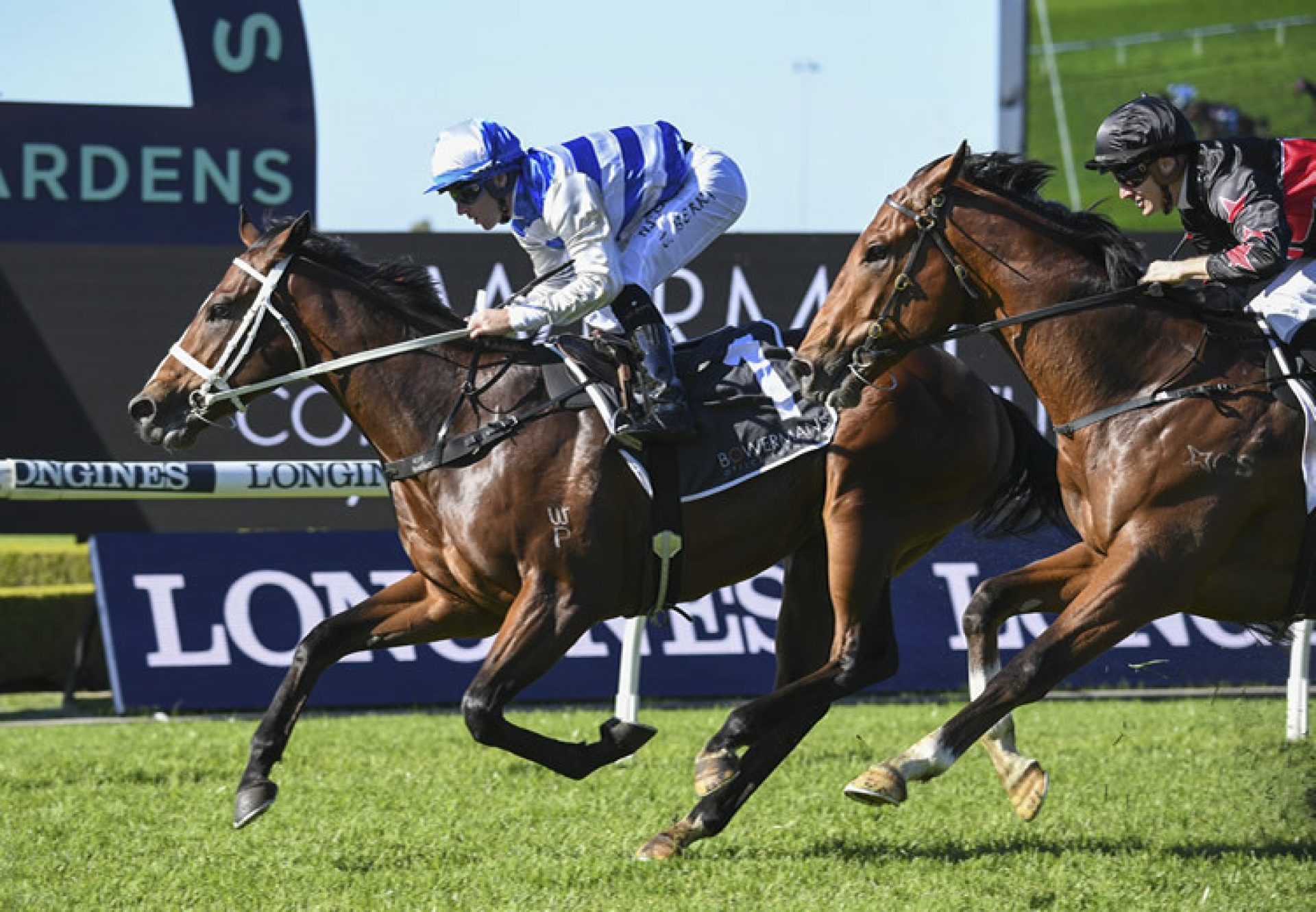 Cape Breton (Vancouver) winning at Rosehill