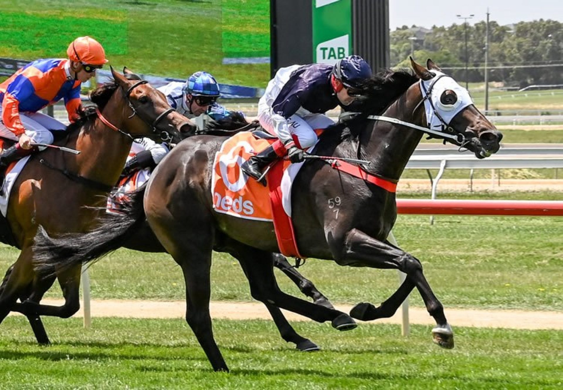 Swift Sure (Vancouver) winning at Warrnambool