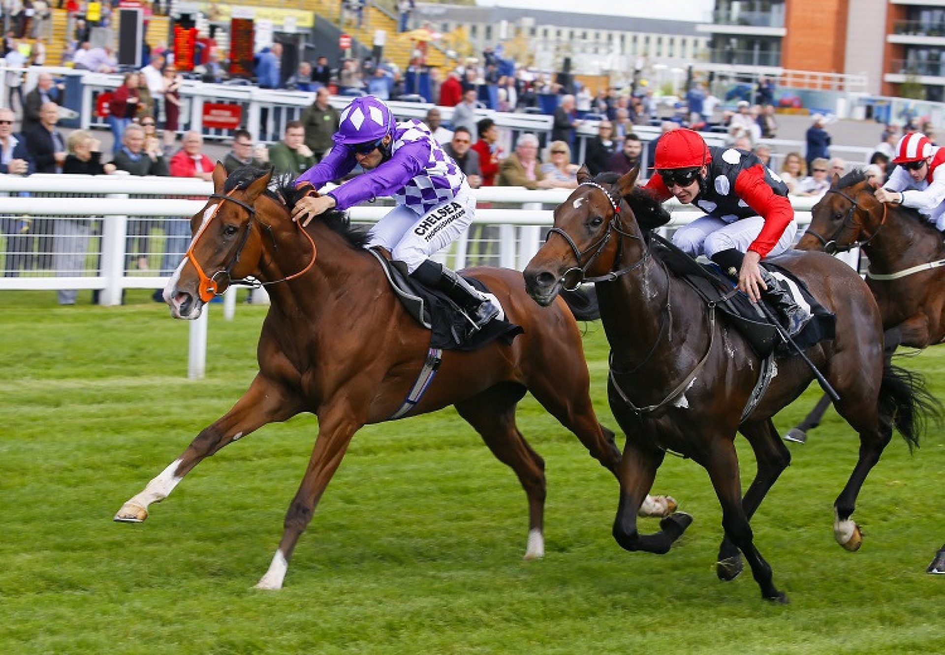 Orange Suit Newbury