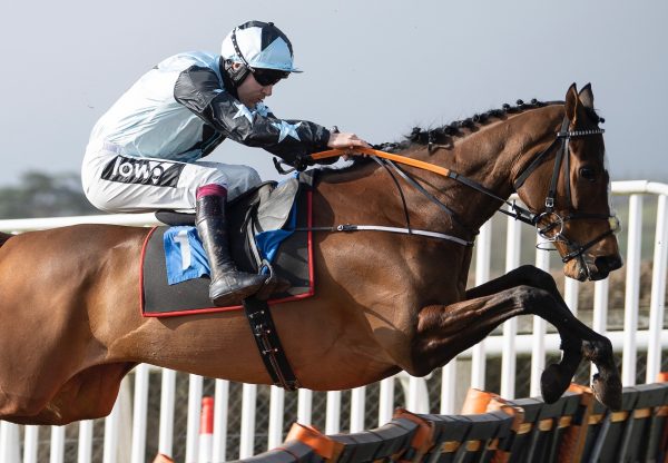 Allavina (Getaway) Wins The Mares Novices Hurdle At Taunton