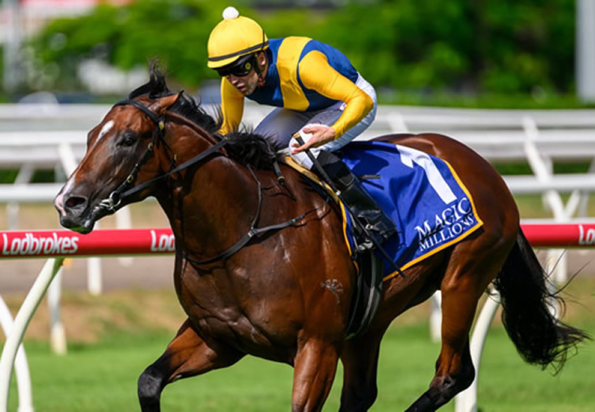 Storm Boy (Justify) Gr.3 BJ McLachlan Stakes at Eagle Farm