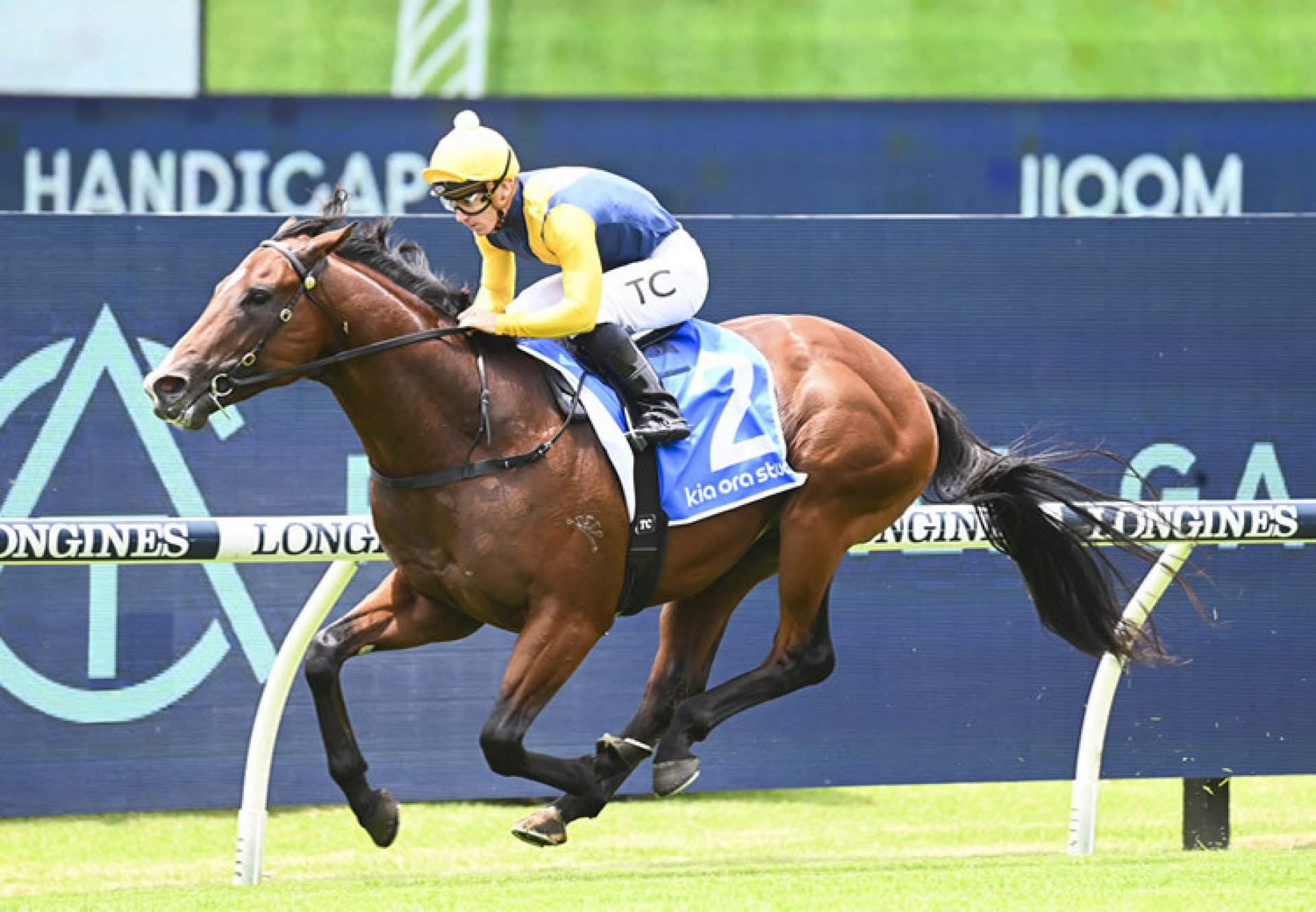 Storm Boy (Justify) winning at Rosehill