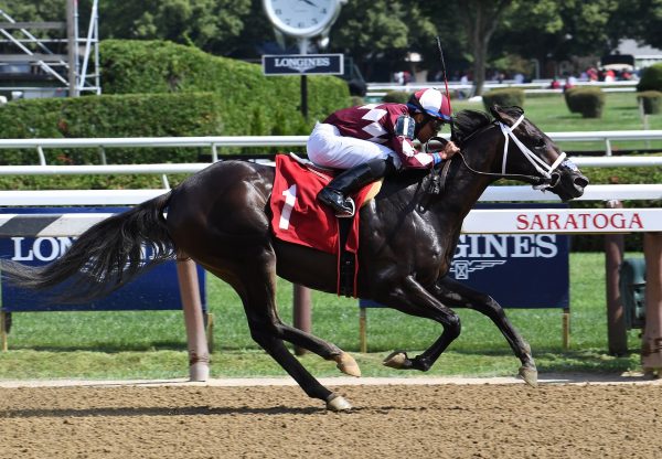 Another Miracle (American Pharoah) winning at Saratoga