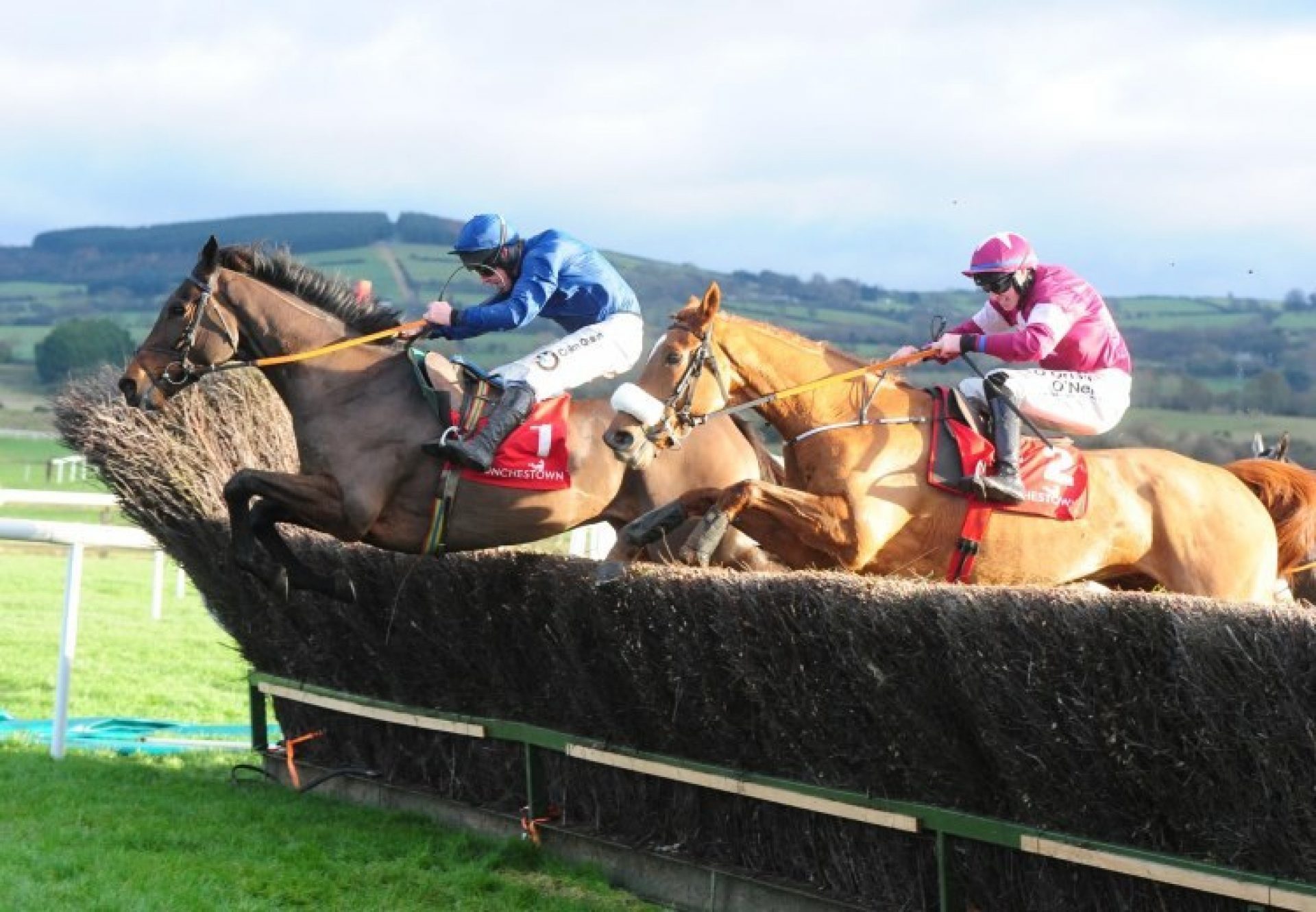 The Wests Awake (Yeats) winning a novice chase at Punchestown