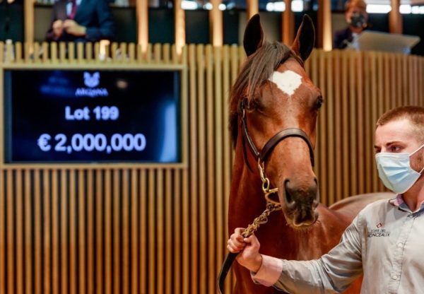 Galileo Colt x Prudenzia Arqana Select 2020