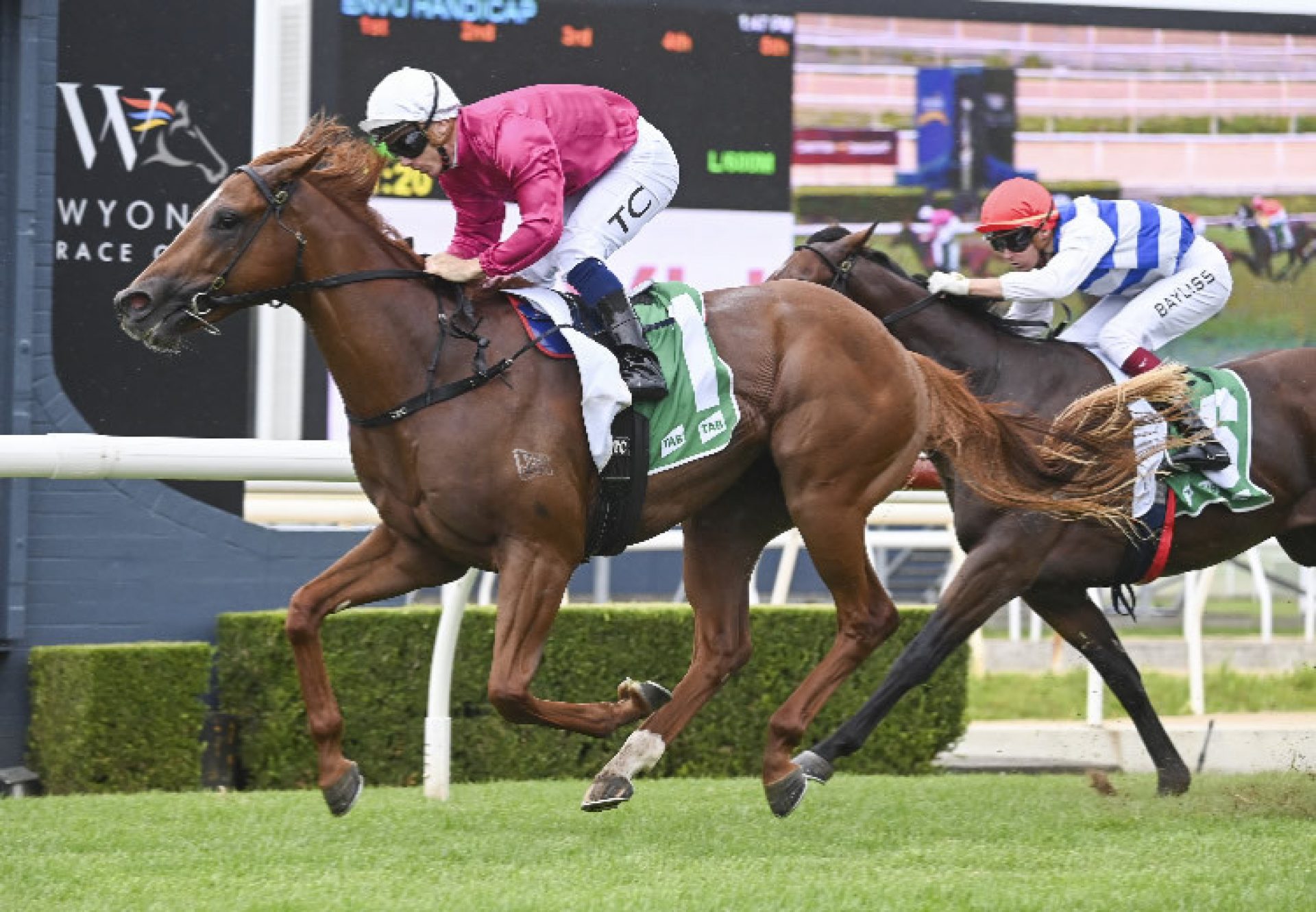 Just Party (Justify) winning at Wyong