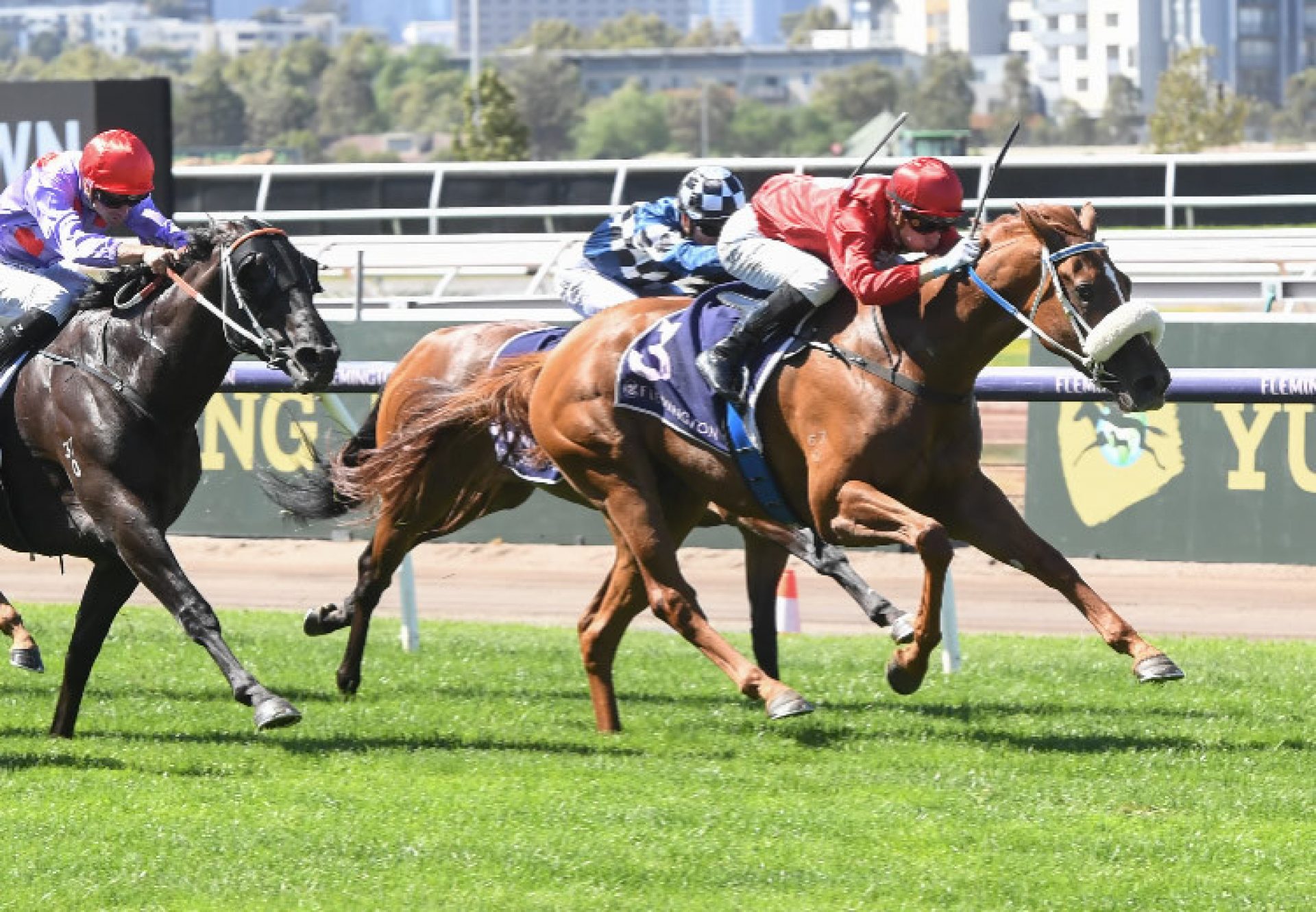 Legacies (Justify) winning at Flemington