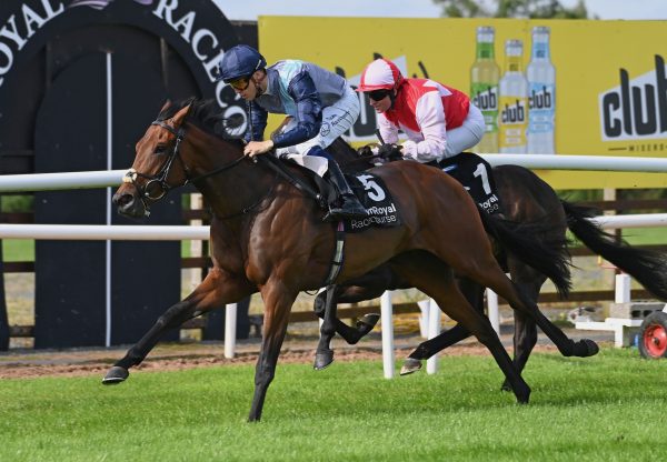 Origami (Sioux Nation) Wins Her Maiden At Down Royal