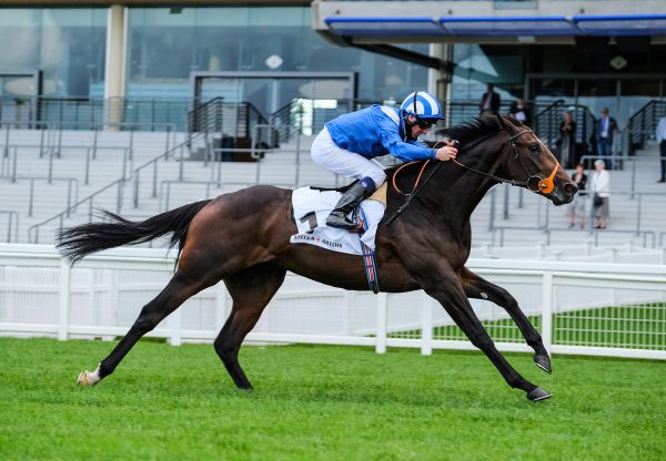 Akmaam (Wootton Bassett) winning at Ascot