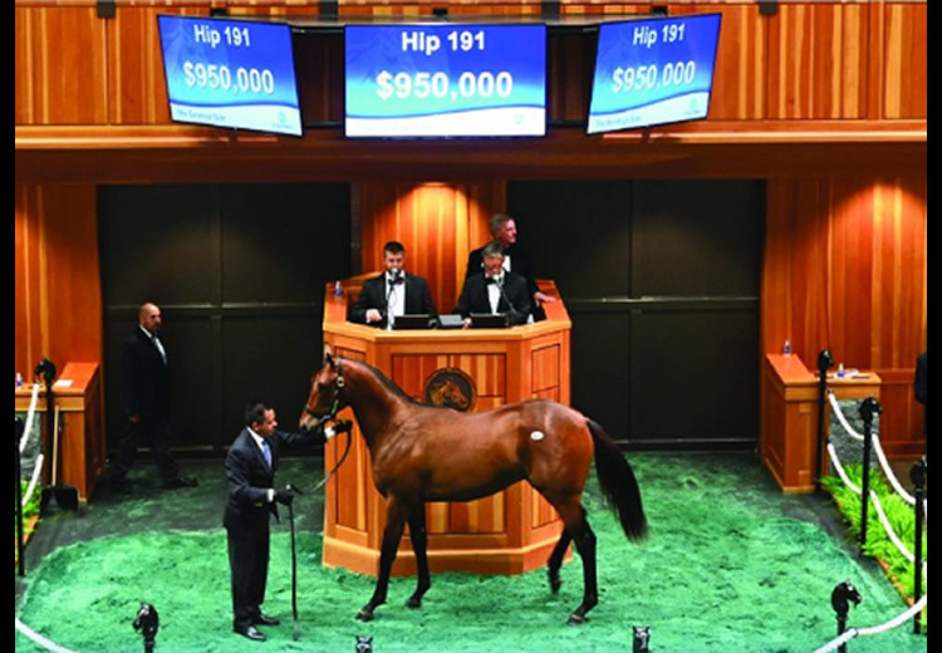 American Pharoah yearling colt ex Bon Jovi Girl selling for $950,000 at Saratoga