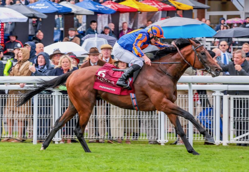 Paddinton Wins The Group 1 Sussex Stakes at Goodwood