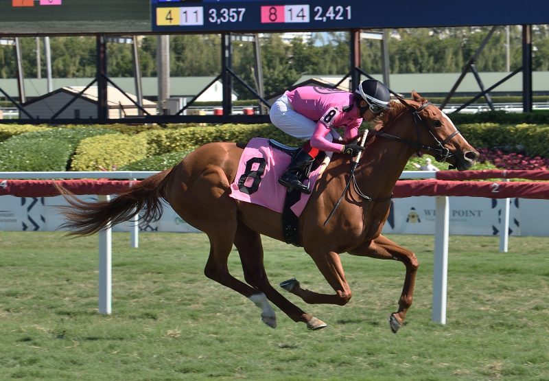 Lucky Polly (Lookin At Lucky) Breaks Gp Maiden