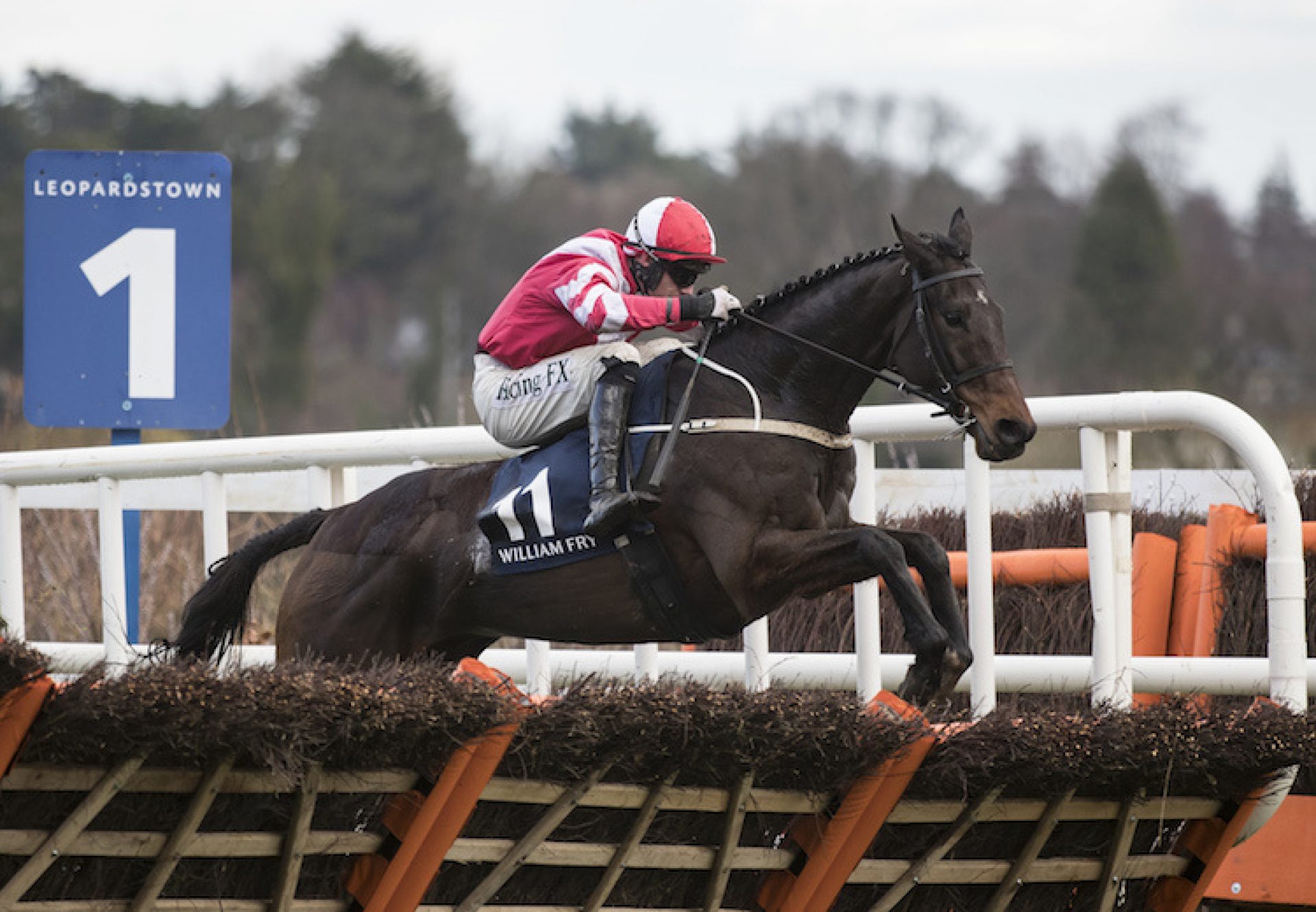 Total Recall (Westerner) winning the Grade B William Fry Handicap Hurdle at Leopardstown