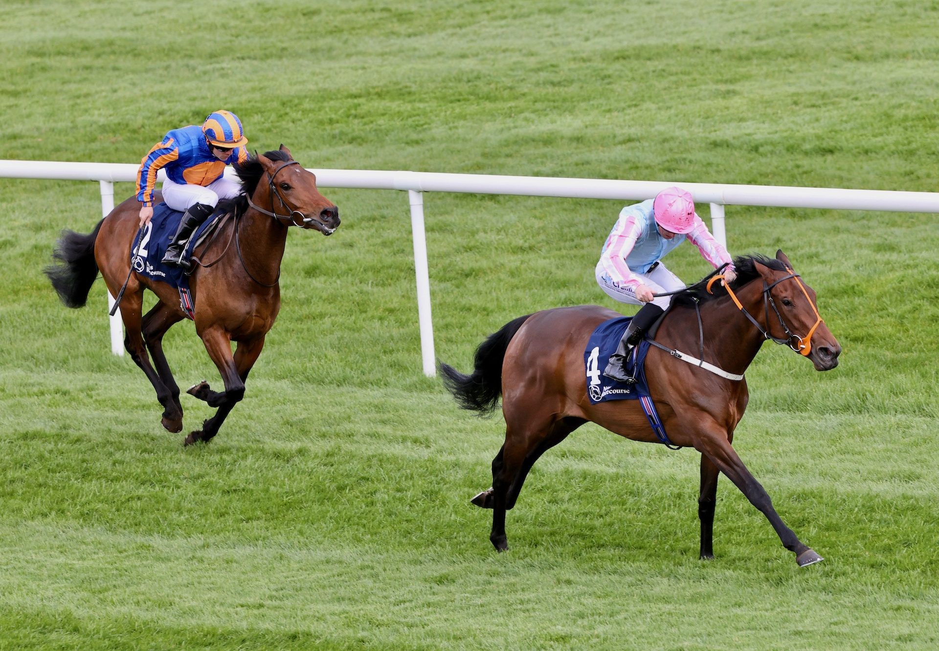 Purple Lily (Calyx) Wins At Naas