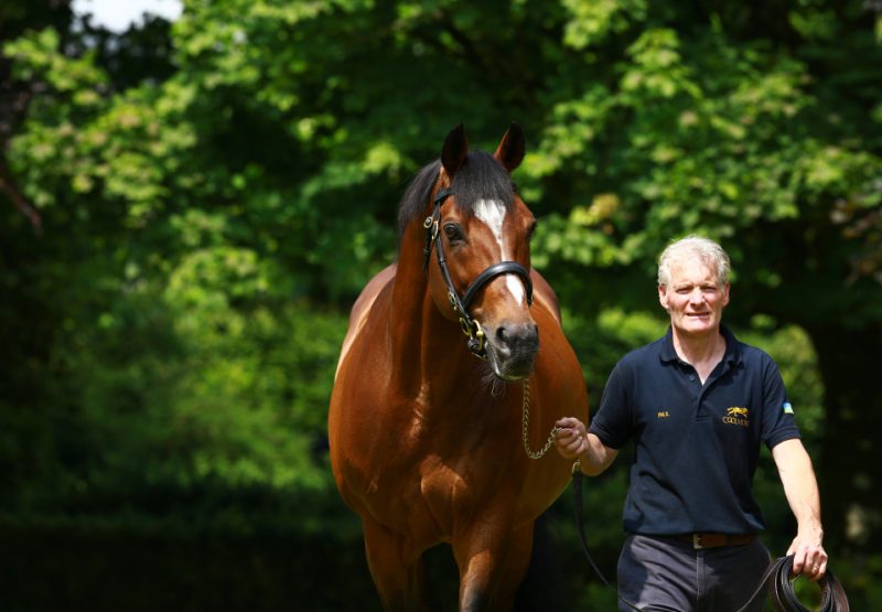 Galileo walking