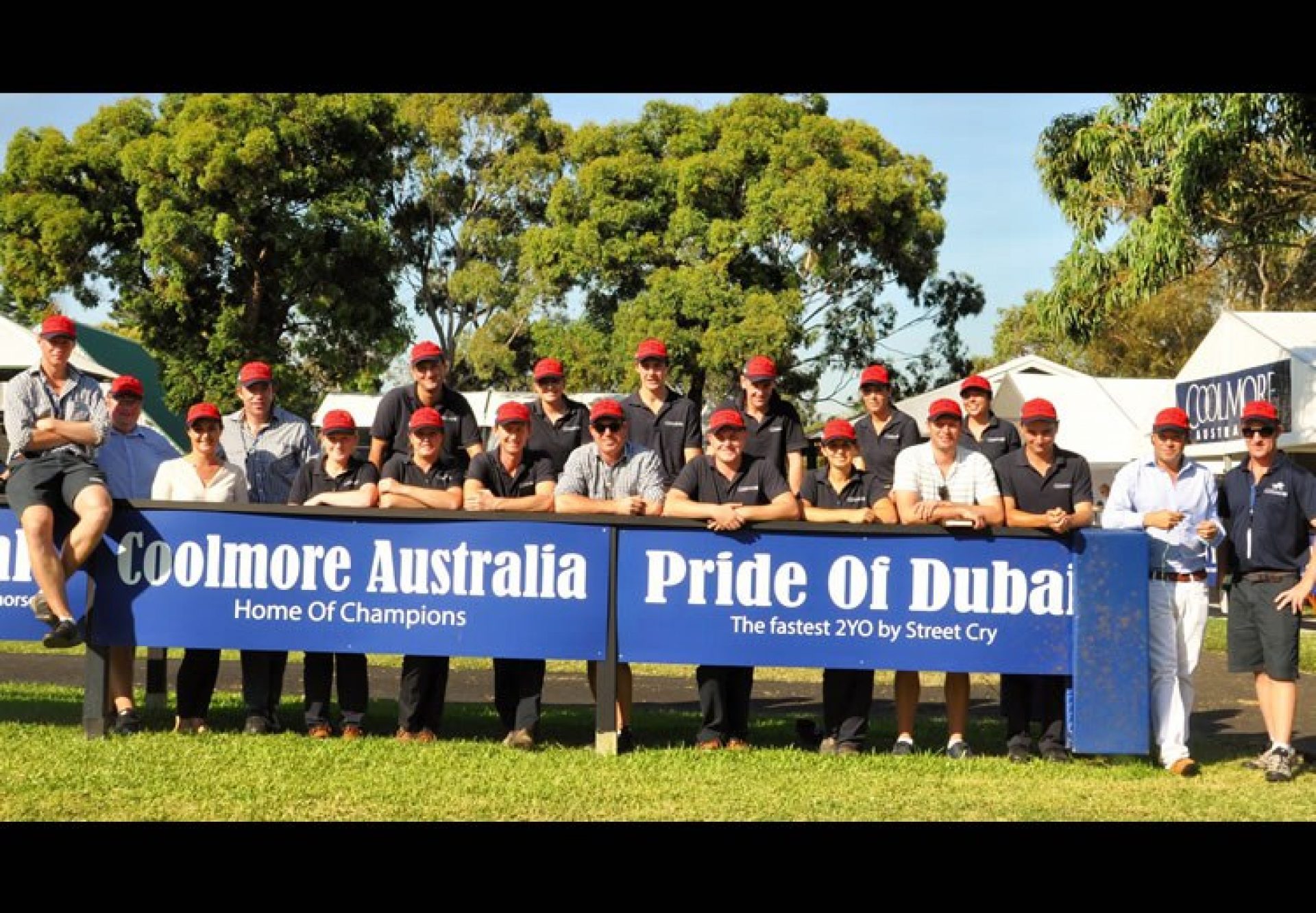 Coolmore Australia staff pictured at the sales