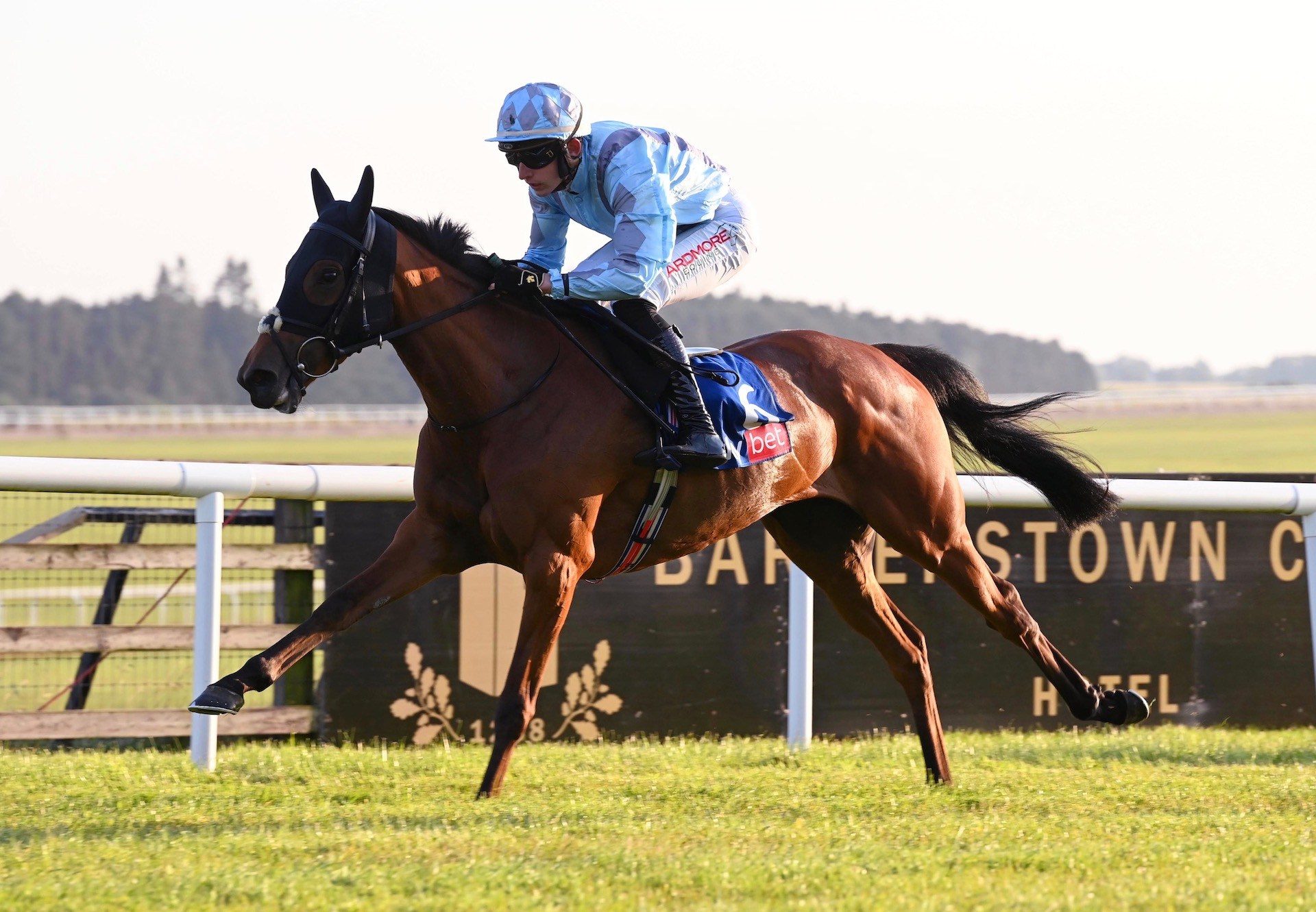 Lionnar (Walk In The Park) Wins The Bumper At The Curragh