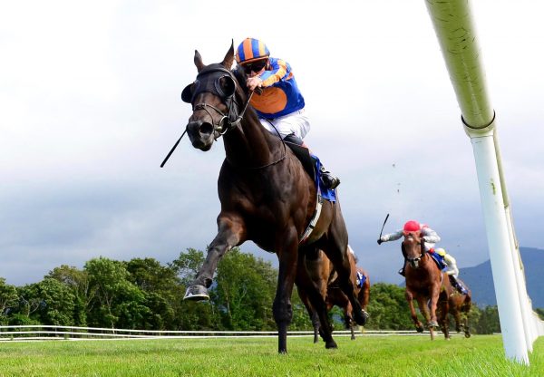 Horoscope Wins The Irish Stallion Farms Ebf Race At Killarney 1