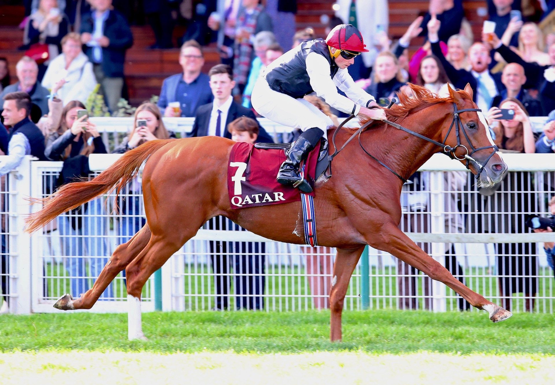 Kyprios (Galileo) Wins The Group 1 Prix Du Cadran at ParisLongchamp