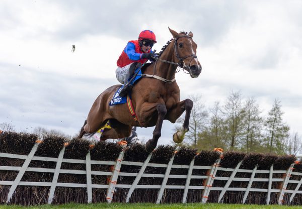 Facile Vega (Walk In The Park) Wins The Grade 1 Champion Novice Hurdle At Punchestown