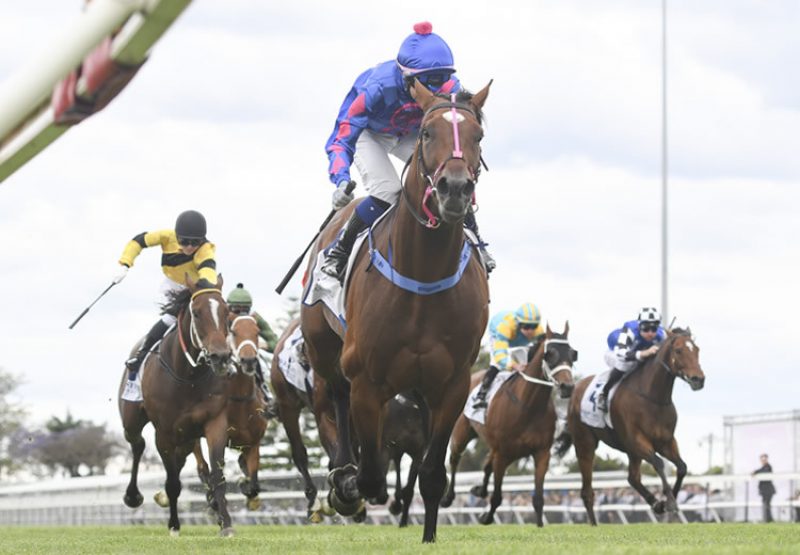 Torrens (Adelaide) winning the Beauford at Newcastle