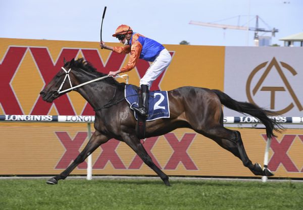 Think It Over (So You Think) wins the Rosehill Gold Cup at Rosehill