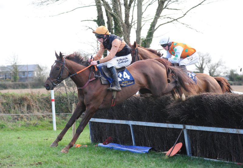 Captain Checkdown (Getaway) winning at Ballinaboola