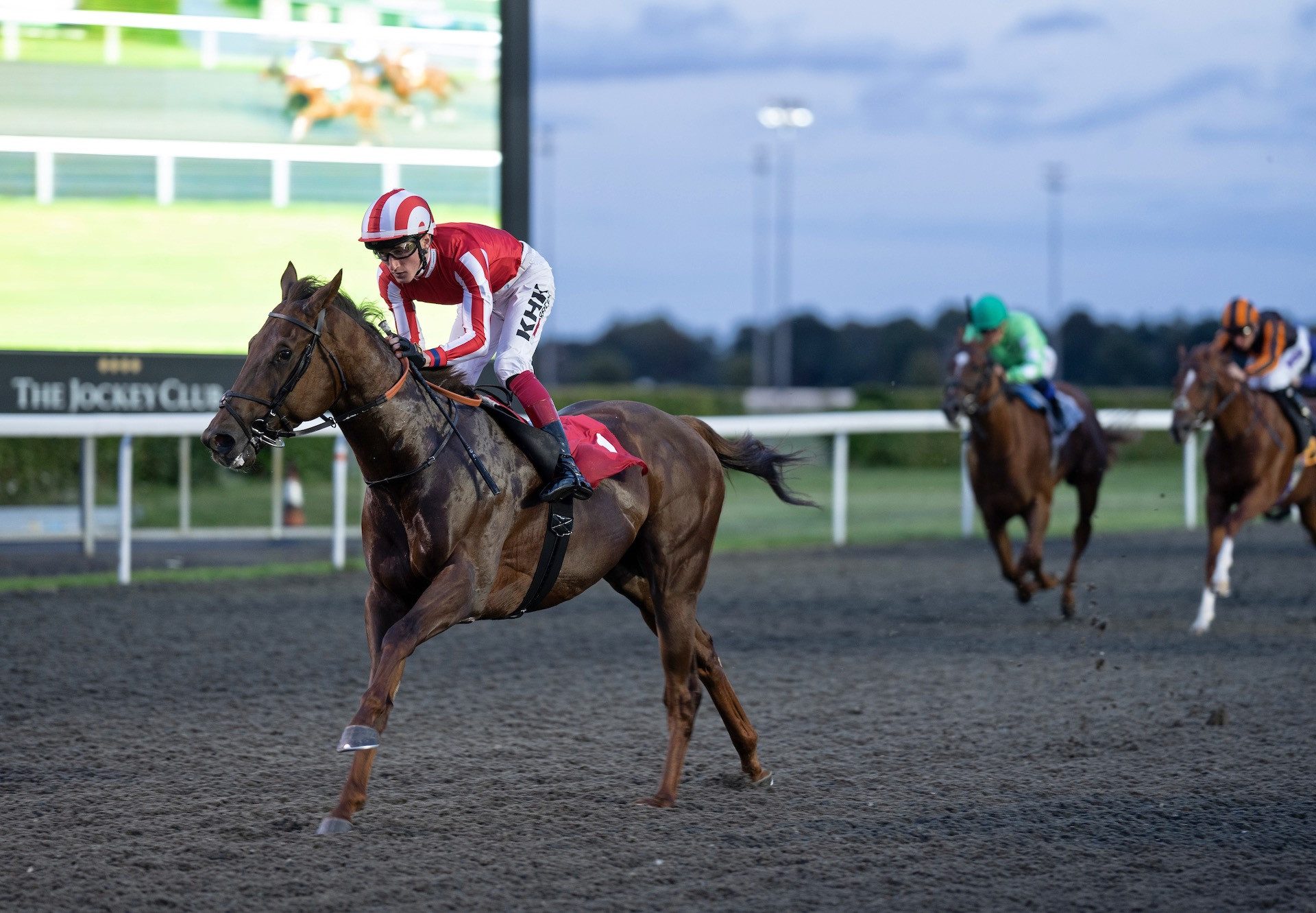 Irregular Warfare (Saxon Warrior) Wins At Kempton