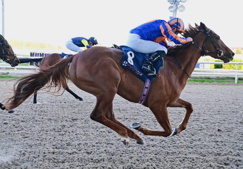 Port Fairy (Australia) Wins The Fillies Maiden At Dundalk