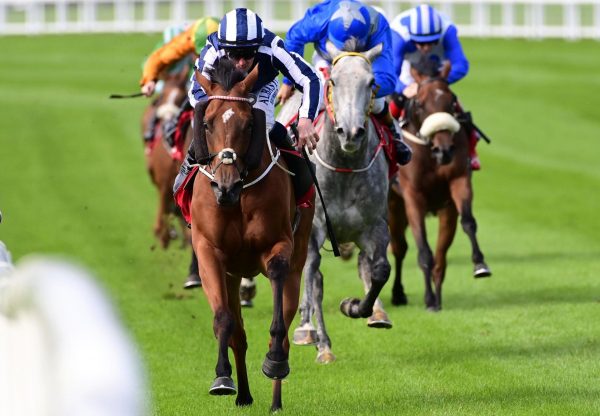 Moonlit Mist (Australia) winning at Ballinrobe