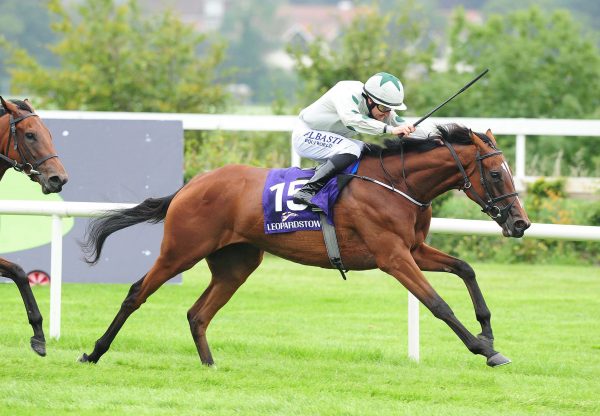 Fly Girl (The Gurkha) wins Leopardstown Maiden