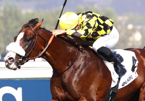 Skyward (Camelot) winning the Gr.3 Prix du Reux at Deauville